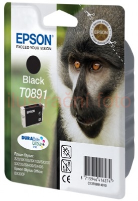 Epson T0891, 5,8ml, black - original